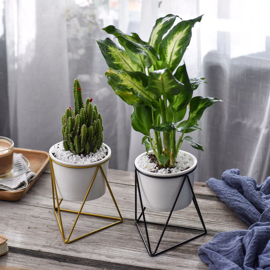 Dluxe Ave. Nordic Triangle Ceramic Planter with Iron Stand Set