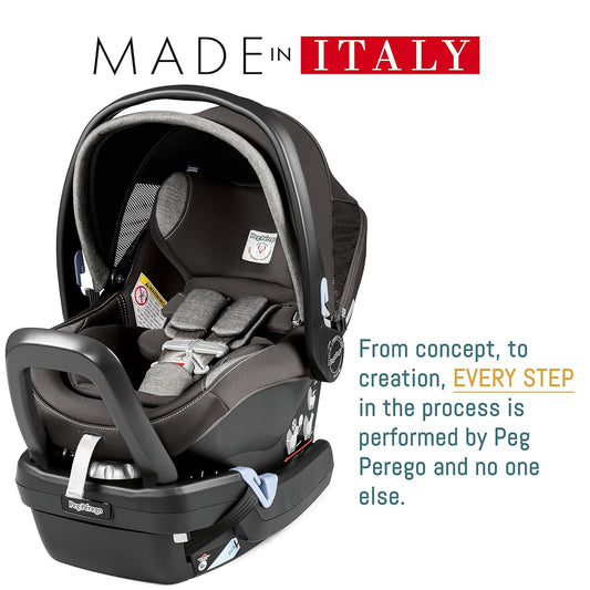 Dluxe Ave. Rear Facing Infant Car Seat/ for Babies 4 to 35 lbs / (Beige & Pink)