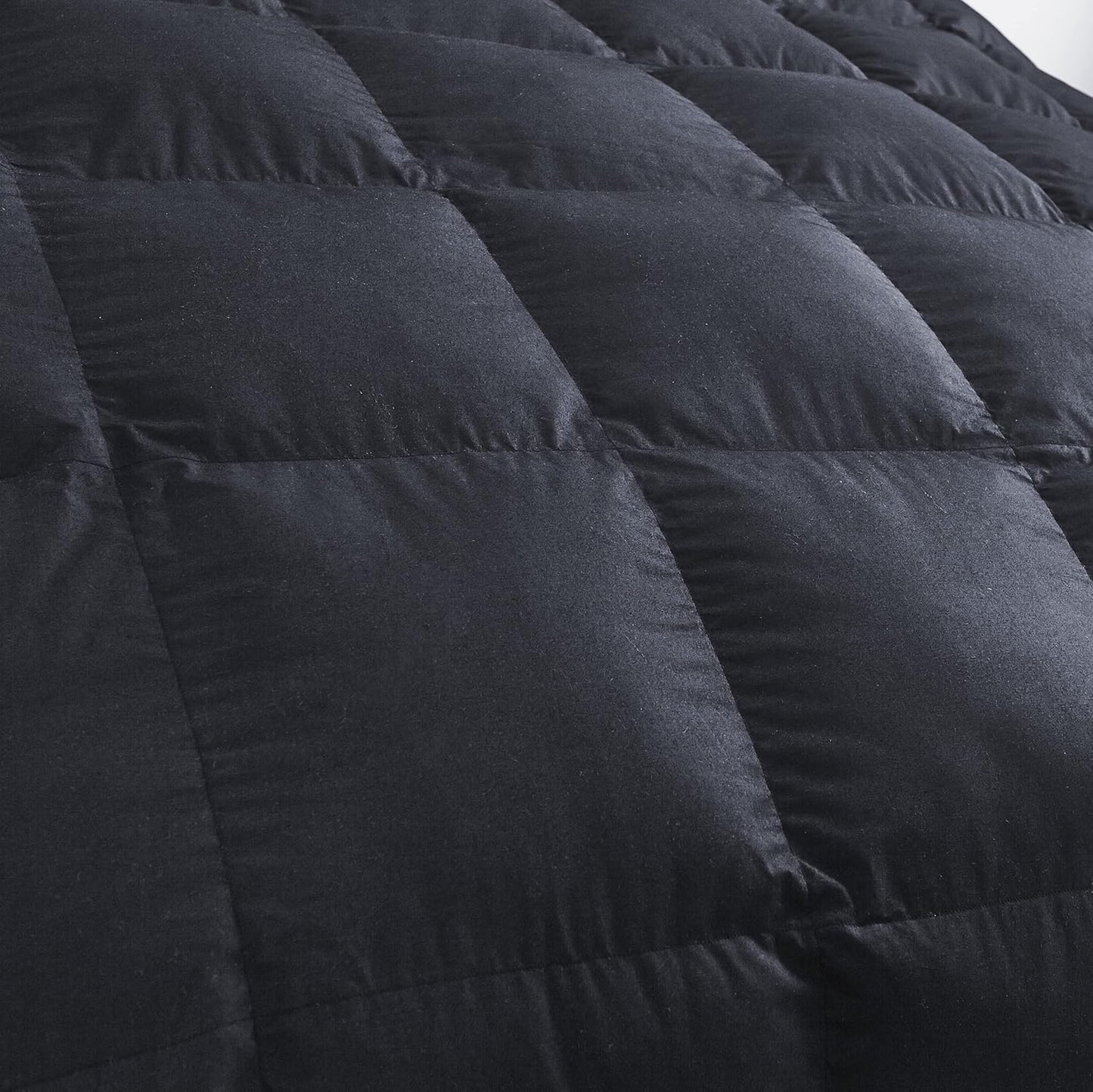 Dluxe Ave. ( KING ) Luxurious Palatial Goose Down Feather Fiber Comforter, Duvet Insert 100% Egyptian Cotton Cover 90 oz., Fill Weight Comforter/ Black Solid