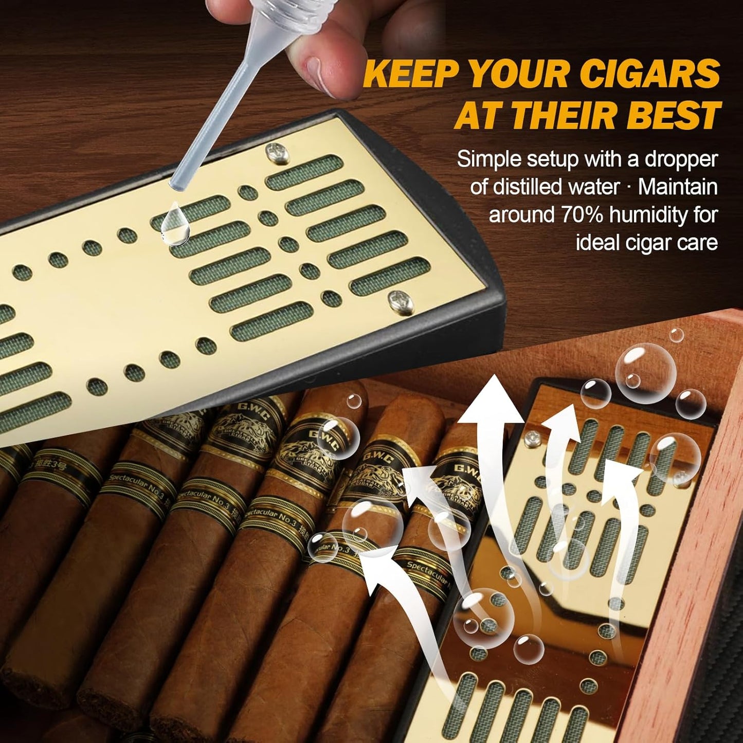 Dluxe Ave. Cigar Humidor and Cigar Lighter Kit/ Cedar Wood