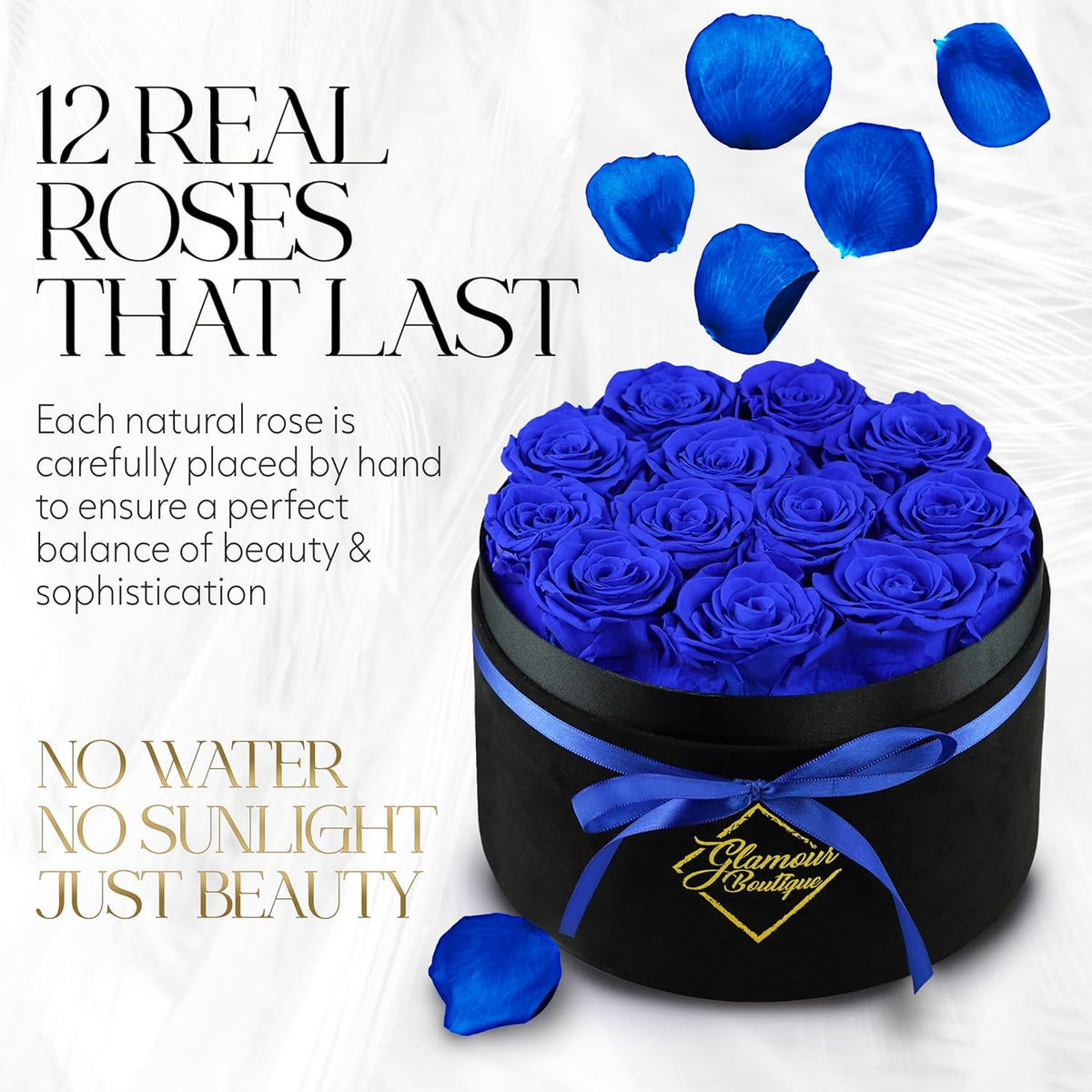 Dluxe Ave. Luxury Preserved Roses/ Velvet Black Box/ Blue, 12pcs