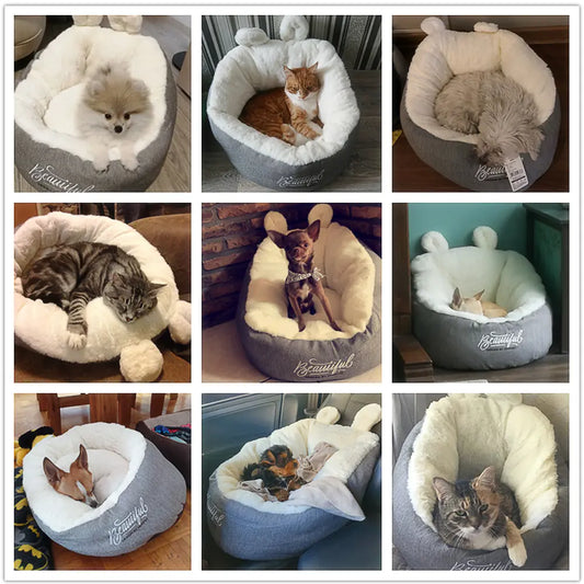 Dluxe Ave. Universal Summer Cat Bed for Ragdoll and Kittens (Grey M Out of Stock 52*52*32 CM)