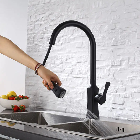 Dluxe Ave. Black Pull-Out Rotating Sink Faucet for Hot and Cold Water
