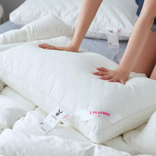 Dluxe Ave. Cotton Pillow Insert