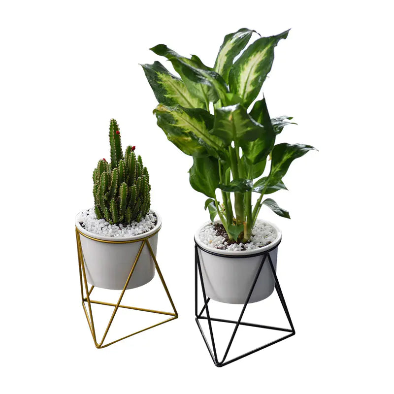 Dluxe Ave. Nordic Triangle Ceramic Planter with Iron Stand Set