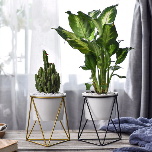 Dluxe Ave. Nordic Triangle Ceramic Planter with Iron Stand Set