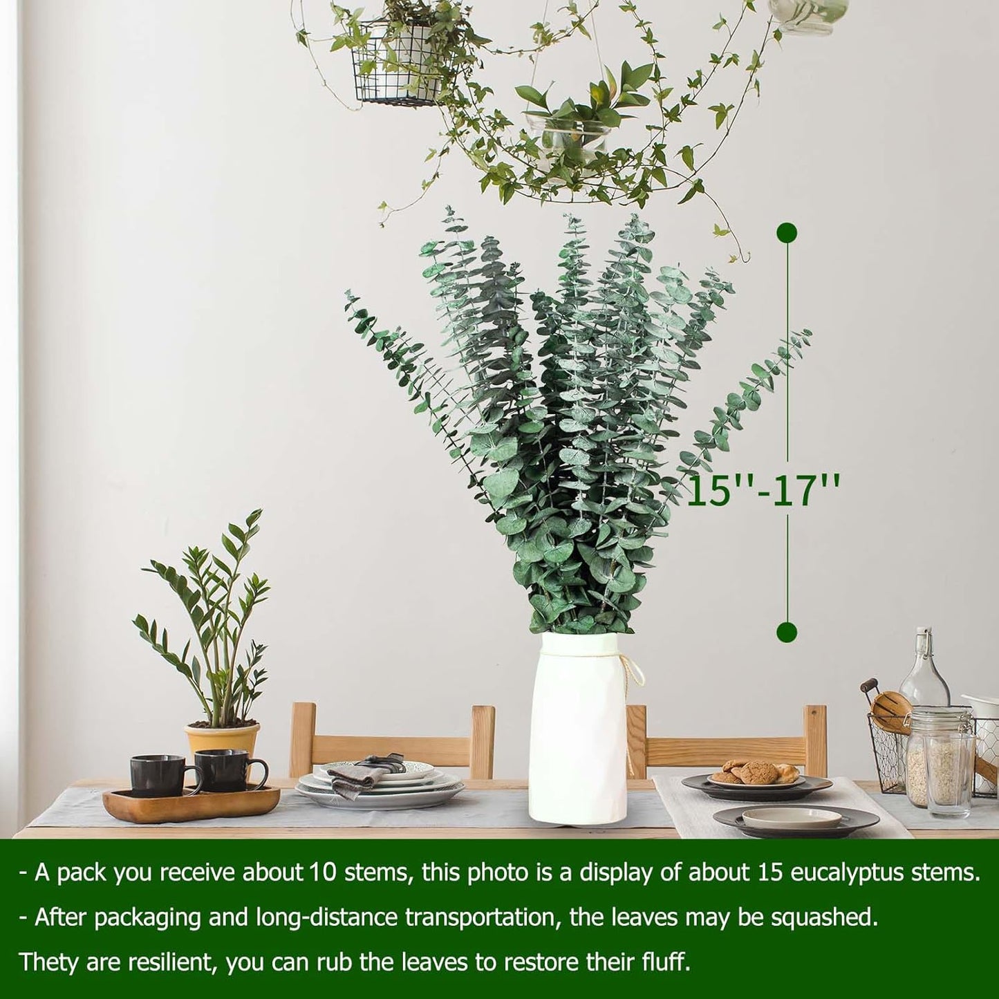 Dluxe Ave. 10 Pcs Dried Eucalyptus Stems for Shower