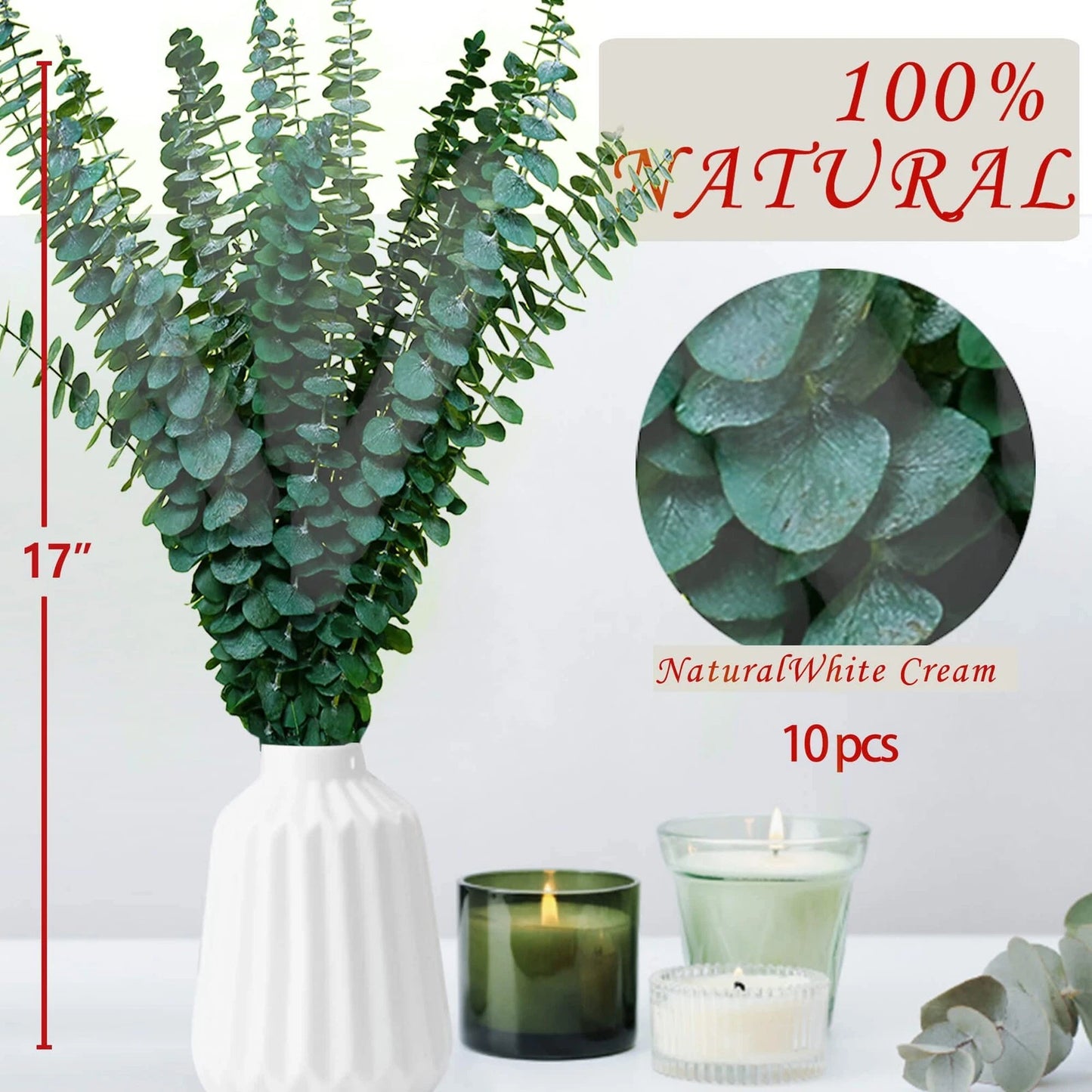 Dluxe Ave. 12 Pcs Dried Eucalyptus Stems for Shower, Hanging
