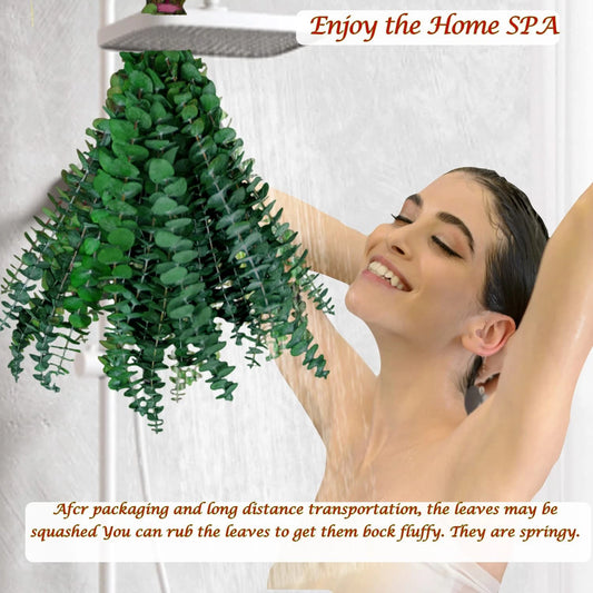 Dluxe Ave. 12 Pcs Dried Eucalyptus Stems for Shower, Hanging