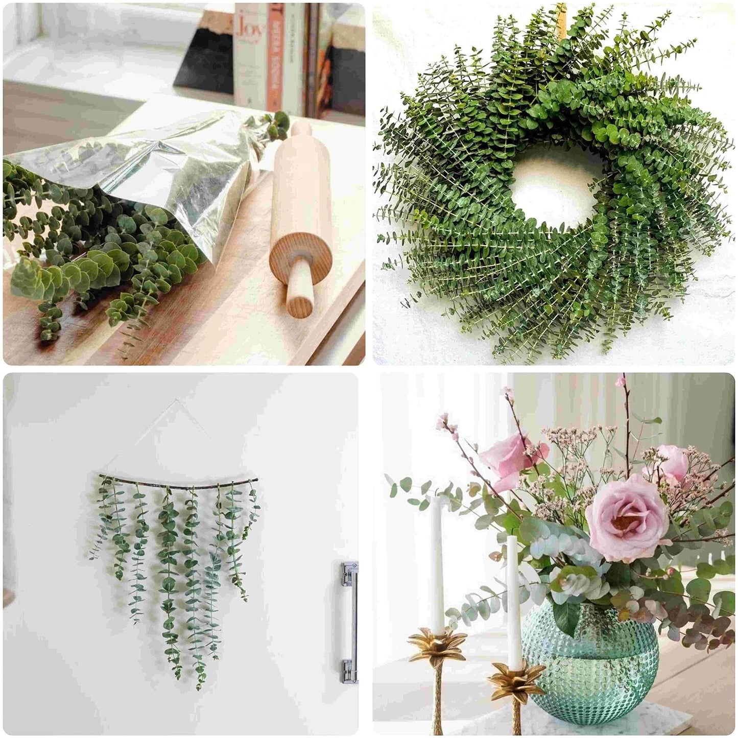 Dluxe Ave. 12 Pcs Dried Eucalyptus Stems for Shower, Hanging