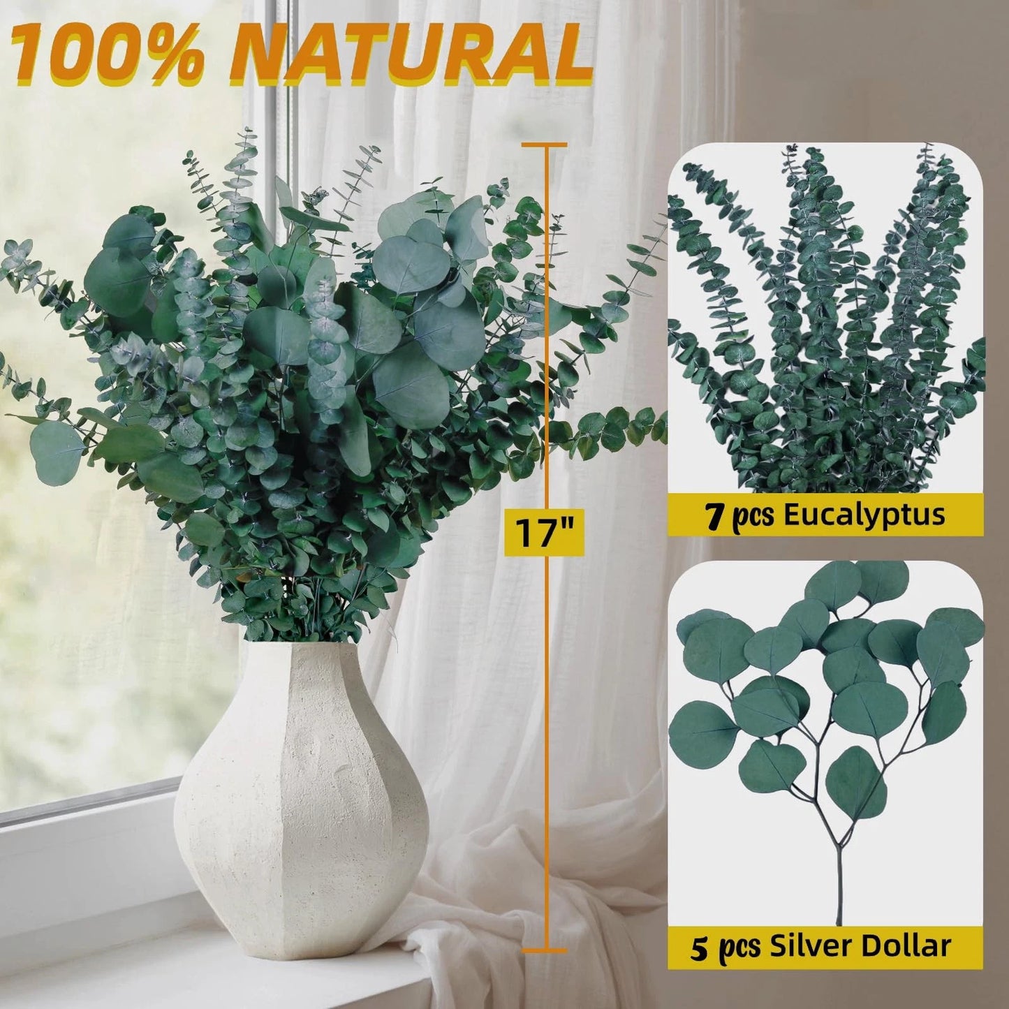 Dluxe Ave. 12 Pcs Large Dried Eucalyptus & Silver Dollar Leaves Bundle/ Eucalyptus 17"Hanging