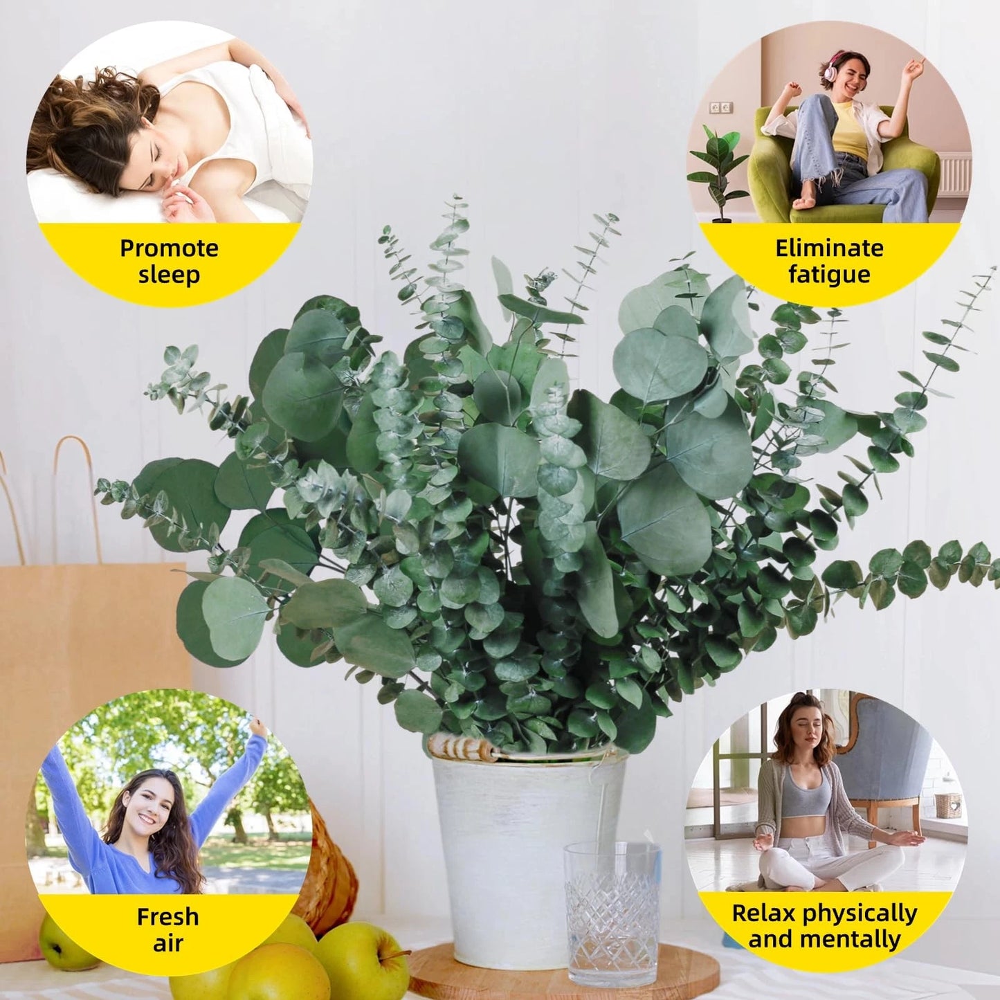 Dluxe Ave. 12 Pcs Large Dried Eucalyptus & Silver Dollar Leaves Bundle/ Eucalyptus 17"Hanging