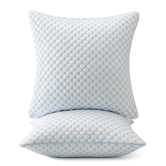 Dluxe Ave. 24x24 Pillow Inserts/ Set of 2/ Decorative