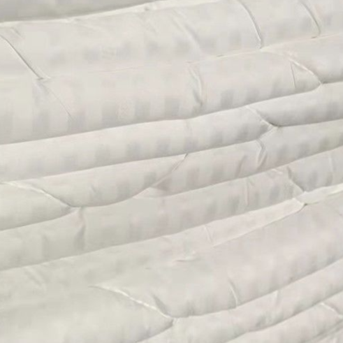 Thickened Winter White Duvet Insert