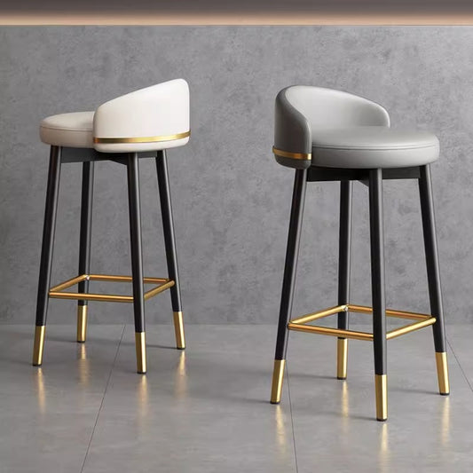 Dluxe Ave. Modern Metal Bar Stool with Backrest