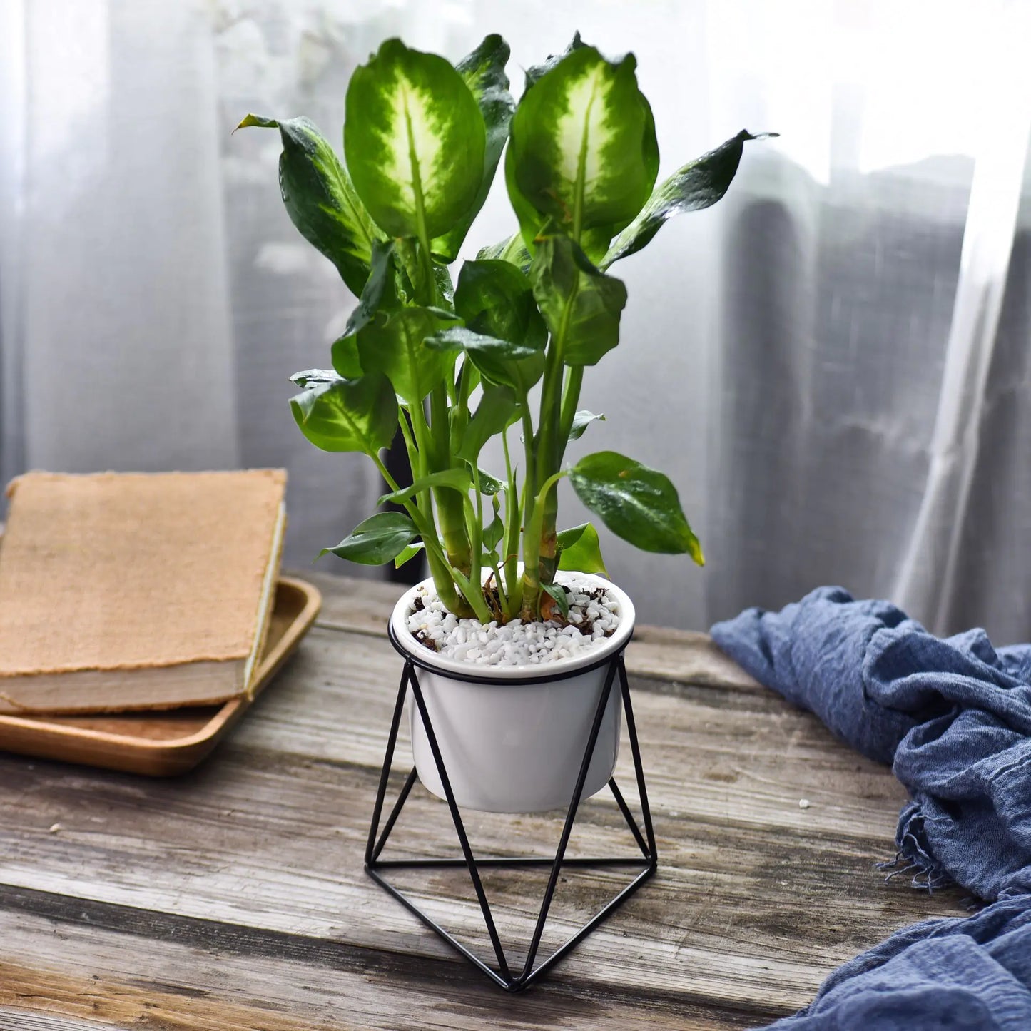 Dluxe Ave. Nordic Triangle Ceramic Planter with Iron Stand Set