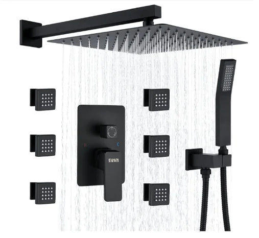 Dluxe. Ave. Multifunctional Hidden Waist Spray Shower (One Set)