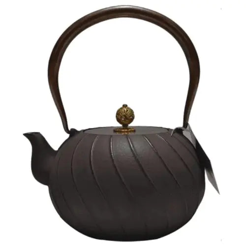 Dluxe Ave. Japanese -style Cast Iron Teapot Set, Handmade Teapot