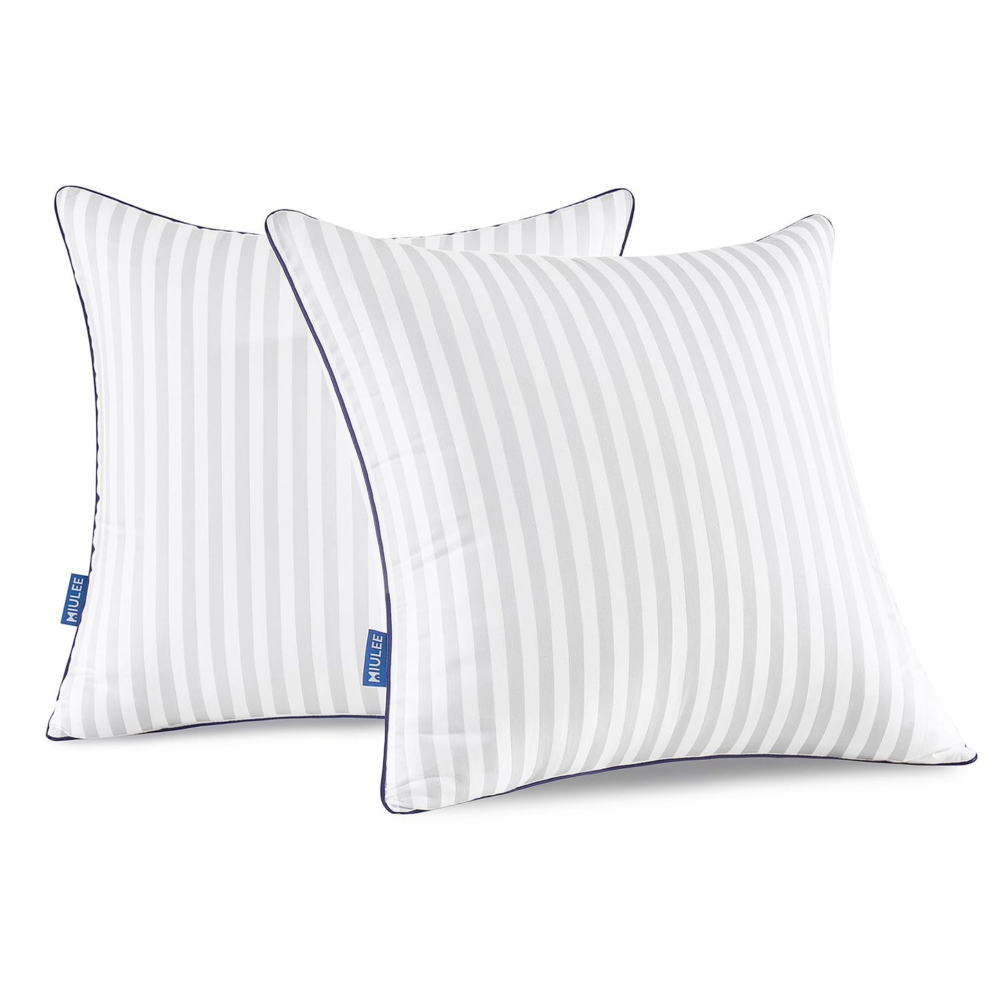 Dluxe Ave. 20x20 Throw Pillow Inserts/ Set of 2/ Decorative Bed Firm and Fluffy Down