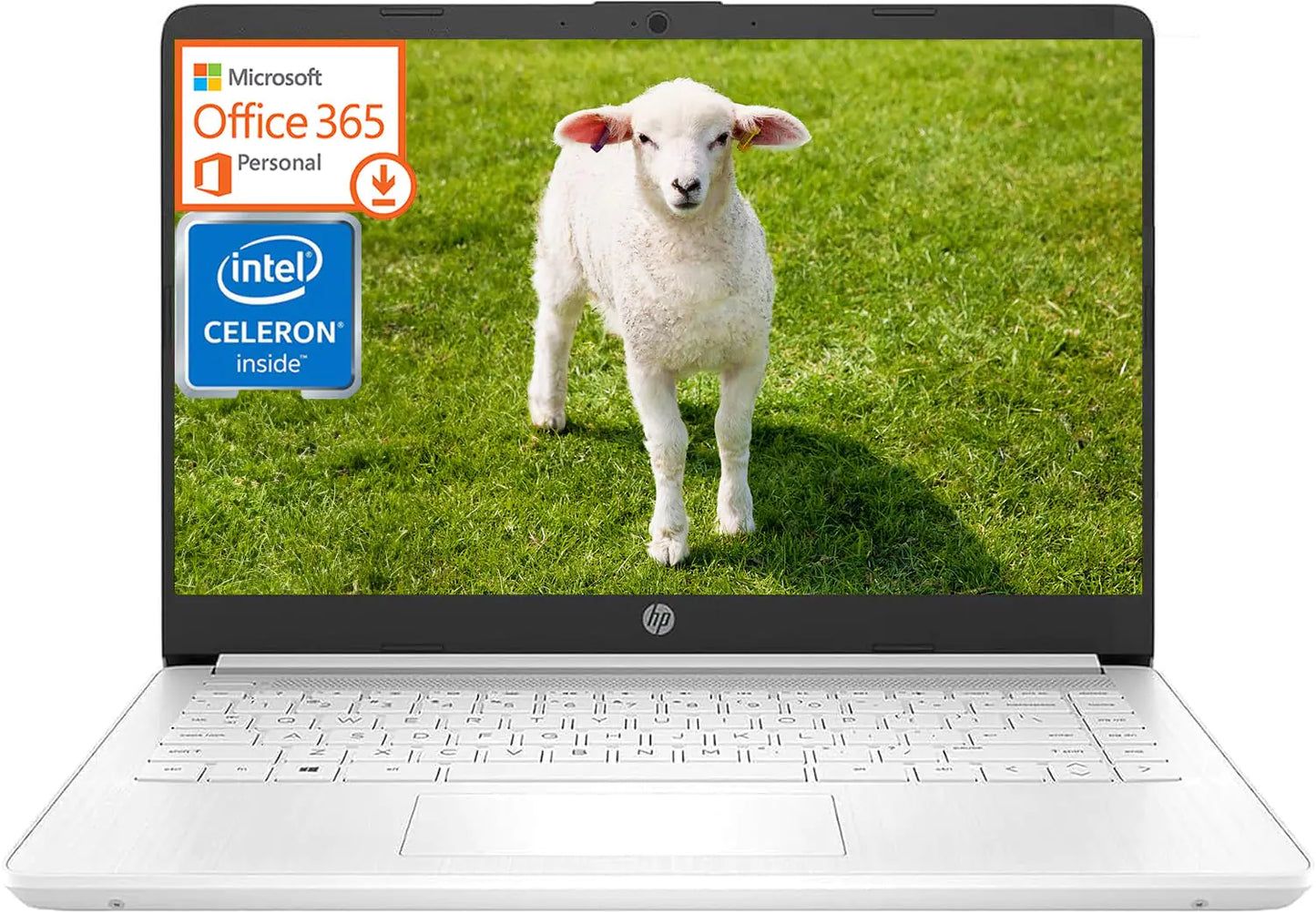 Dluxe Ave. HP 14 Inch Laptop Ultral Light Laptops Intel Celeron N4120 16GB RAM + 320GB Storage (64GB eMMC+256GB MSD)