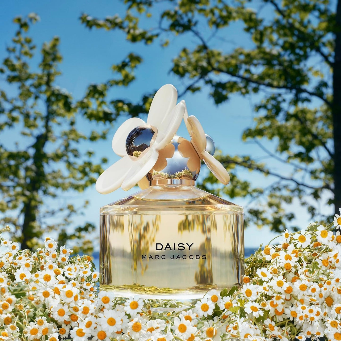 Dluxe Ave. Marc Jacobs Daisy EDT Spray 3.4oz 100ml