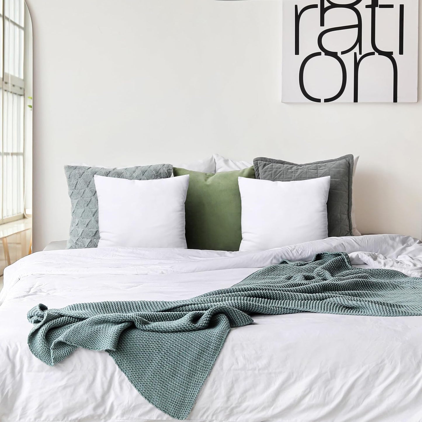 Dluxe Ave. Bedding Throw Pillows Insert/ Set of 2/ White 18 x 18 Inches