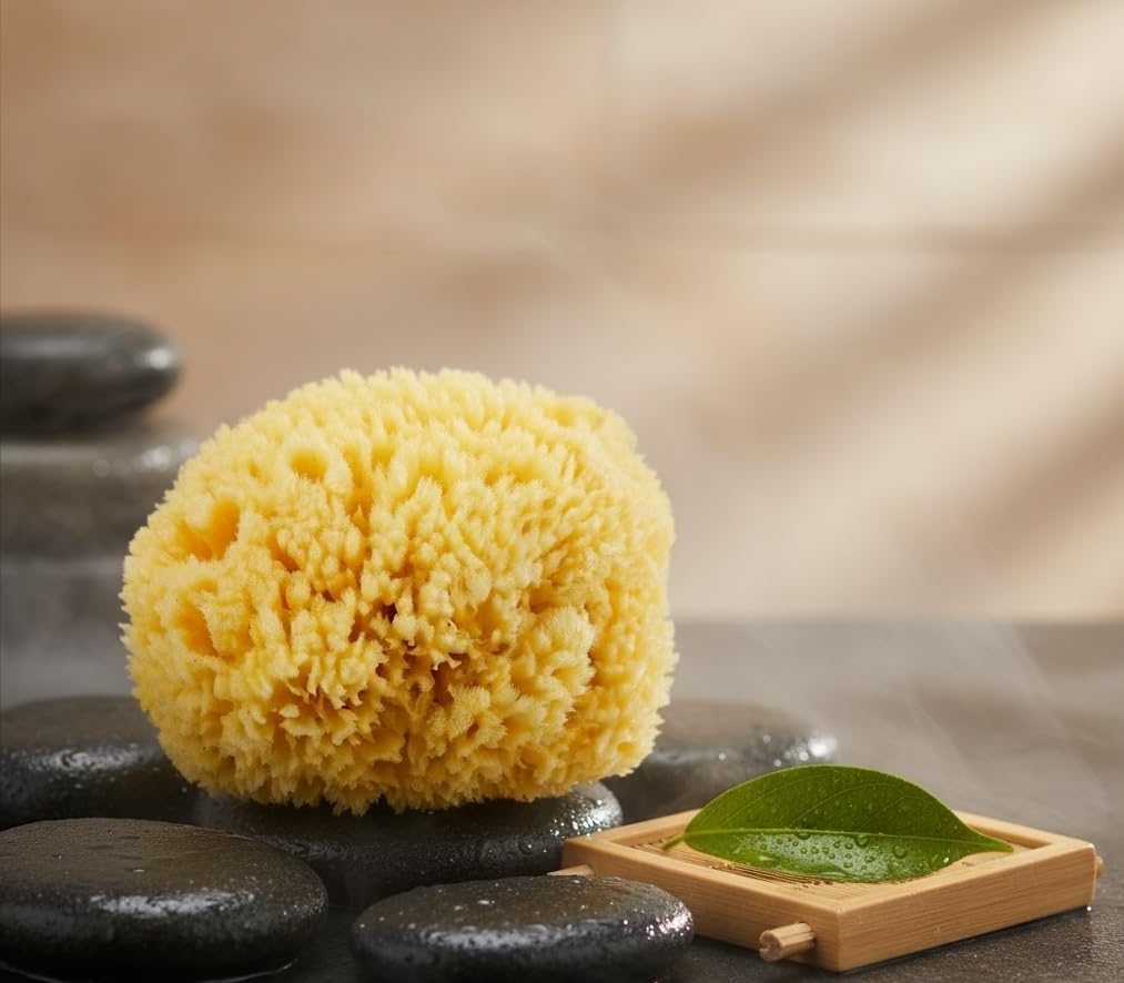 Dluxe Ave. Natural Yellow Sea Wool Sponge 6 Inches. Perfect for Bath Shower & Body Care