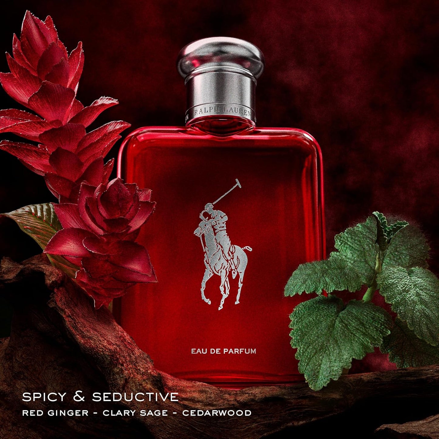 Dluxe Ave. RALPH LAUREN FRAGRANCES Polo Red - Eau de Parfum - Mens Cologne - Woody & Spicy - With Ginger Sage and Cedarwood - Medium Intensity - 4.2 Fl Oz