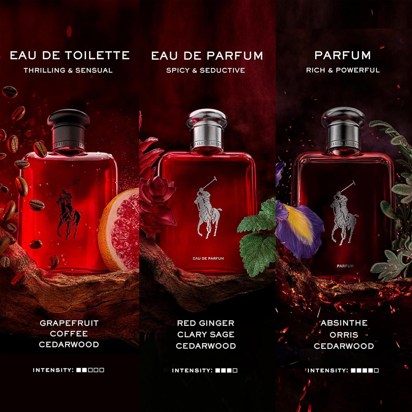 Dluxe Ave. RALPH LAUREN FRAGRANCES Polo Red - Eau de Parfum - Mens Cologne - Woody & Spicy - With Ginger Sage and Cedarwood - Medium Intensity - 4.2 Fl Oz