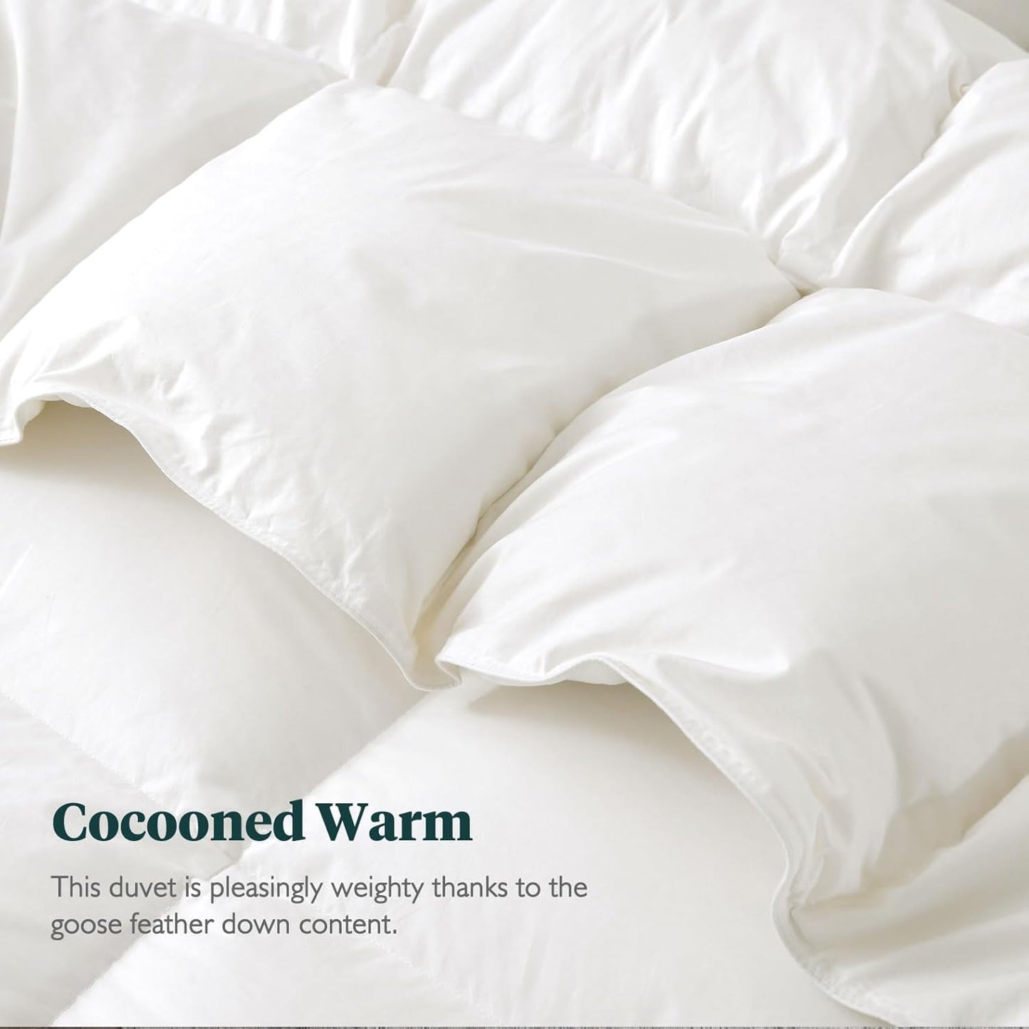Dluxe Ave. ( TWIN ) Feathers & Down Comforter Organic Duvet Insert 100% Cotton/ Feathers and 350 FP Down 420Z Filler All Season/ White