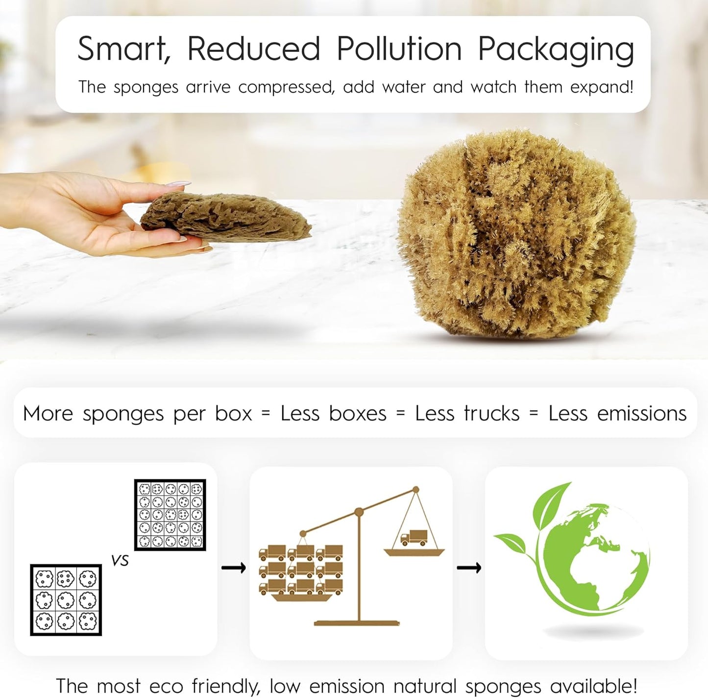 Dluxe Ave. Naroa Exfoliating Natural Sponge for Bathing | Bath Sea Sponge for Healthy Skin | Unbleached Shower Body Scrubber Puff | Eco Friendly Plastic Free Sponge (Exfoliate - Small)