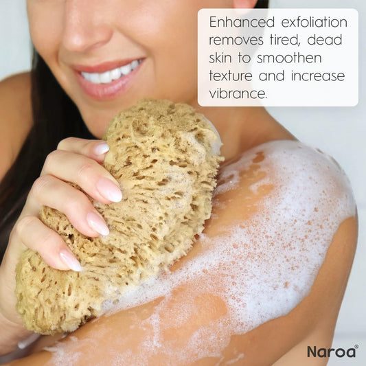 Dluxe Ave. Naroa Exfoliating Natural Sponge for Bathing | Bath Sea Sponge for Healthy Skin | Unbleached Shower Body Scrubber Puff | Eco Friendly Plastic Free Sponge (Exfoliate - Small)