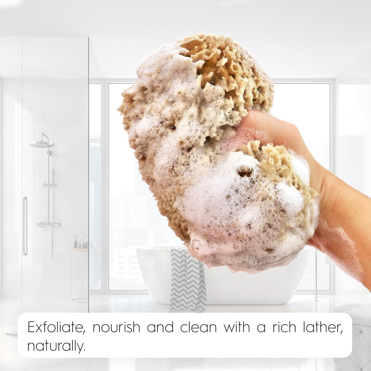 Dluxe Ave. Naroa Exfoliating Natural Sponge for Bathing | Bath Sea Sponge for Healthy Skin | Unbleached Shower Body Scrubber Puff | Eco Friendly Plastic Free Sponge (Exfoliate - Small)