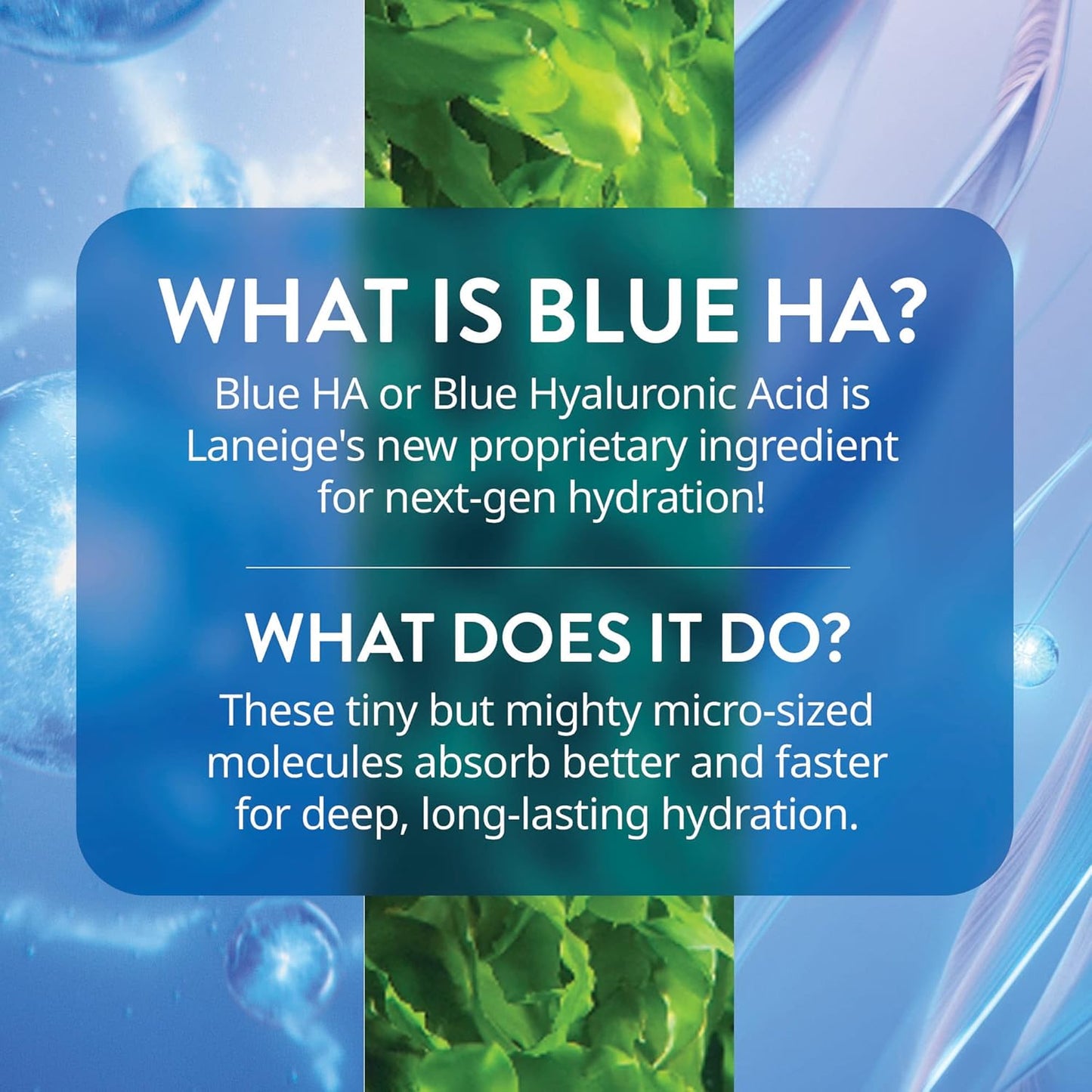 Dluxe Ave. LANEIGE Water Bank Blue Hyaluronic Serum: Peptides Green Tea Enzyme Hydrate Improve Skin Firmness