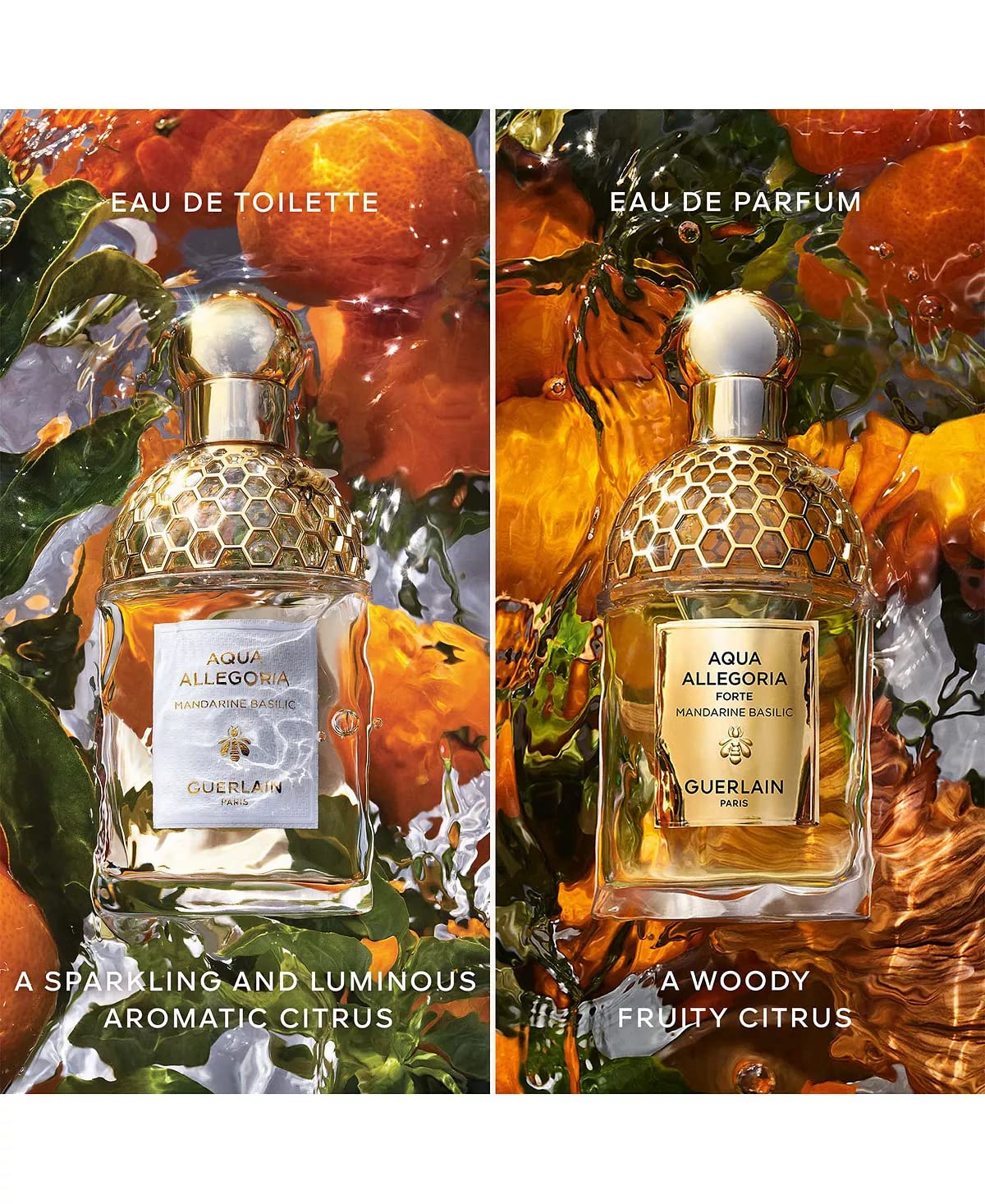 Dluxe Ave, Guerlain Aqua Allegoria Mandarin Basilic Eau De Toilette Spray for Unisex 2.5 oz