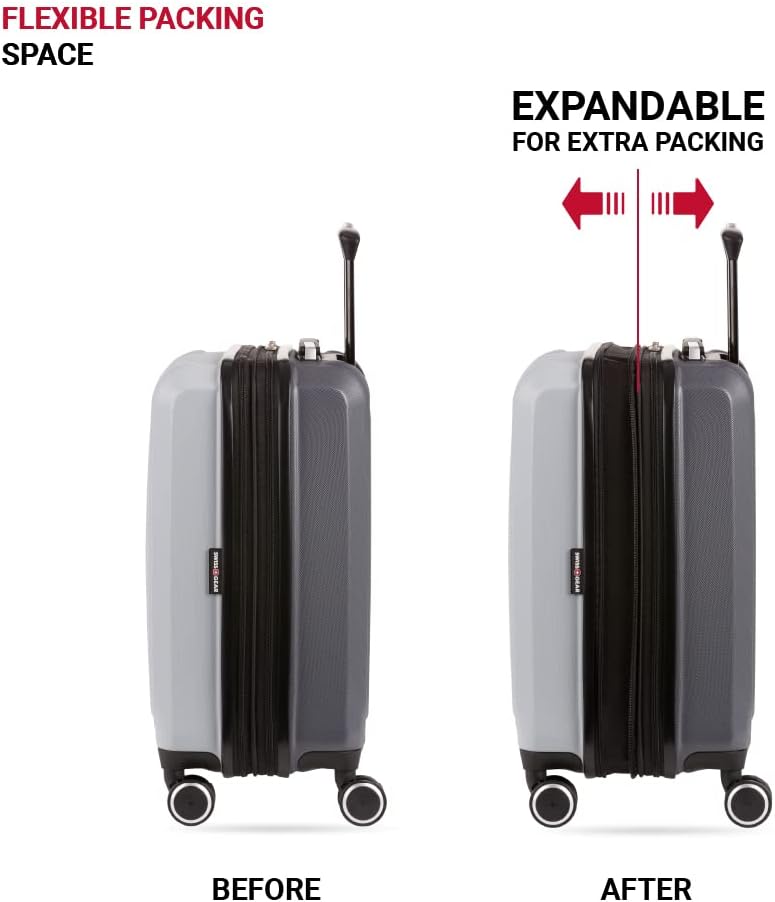 Dluxe Ave. Hardside Expandable Luggage with Spinner Wheels/ (Ash Grey)  19-Inch