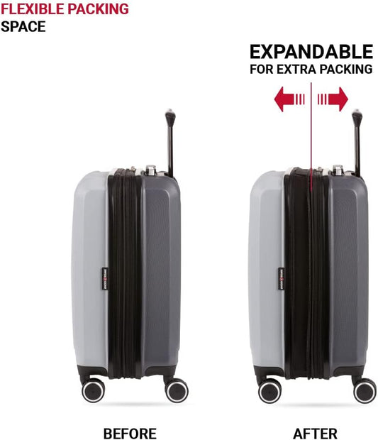 Dluxe Ave. Hardside Expandable Luggage with Spinner Wheels/ (Ash Grey)  19-Inch