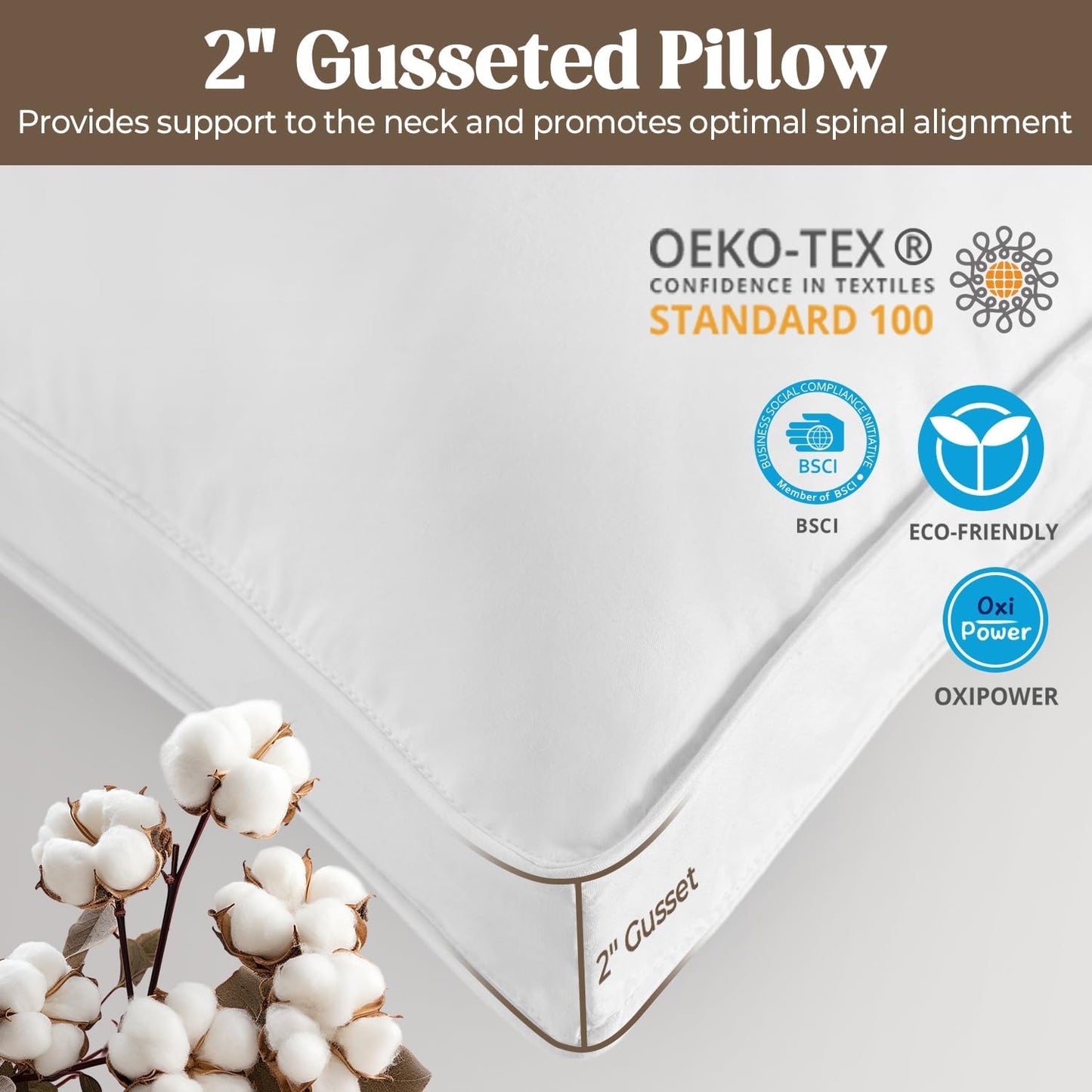 Dluxe Ave. ( KING )Goose Feathers Down Pillows, Set of 2, Gusseted Hotel Collection