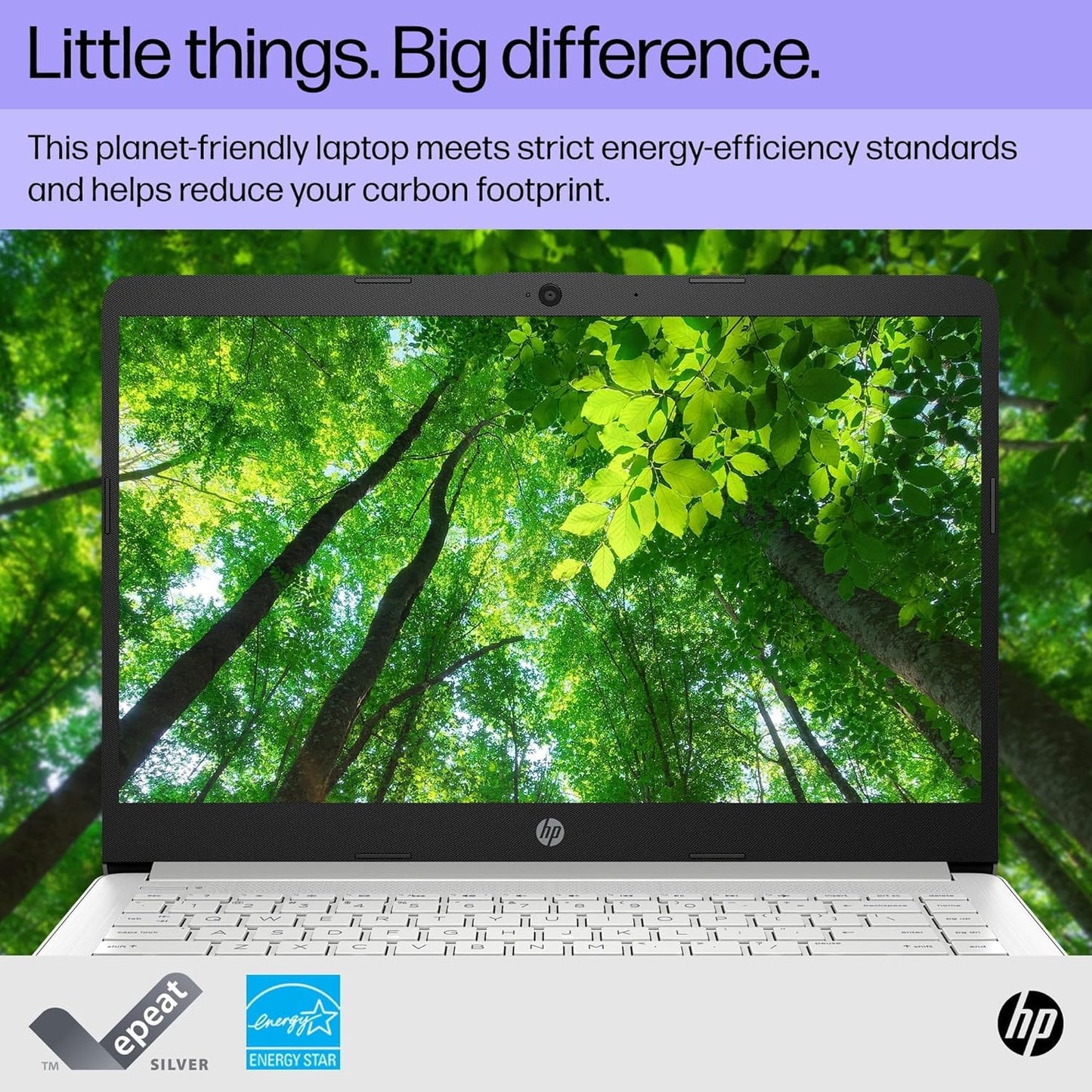 Dluxe Ave. HP Stream 14 Inch Laptop Ultra Thin and Light Laptop Intel Celeron N4120 16GB RAM 320B Storage (64GB eMMC+256GB 1-Year Office 365