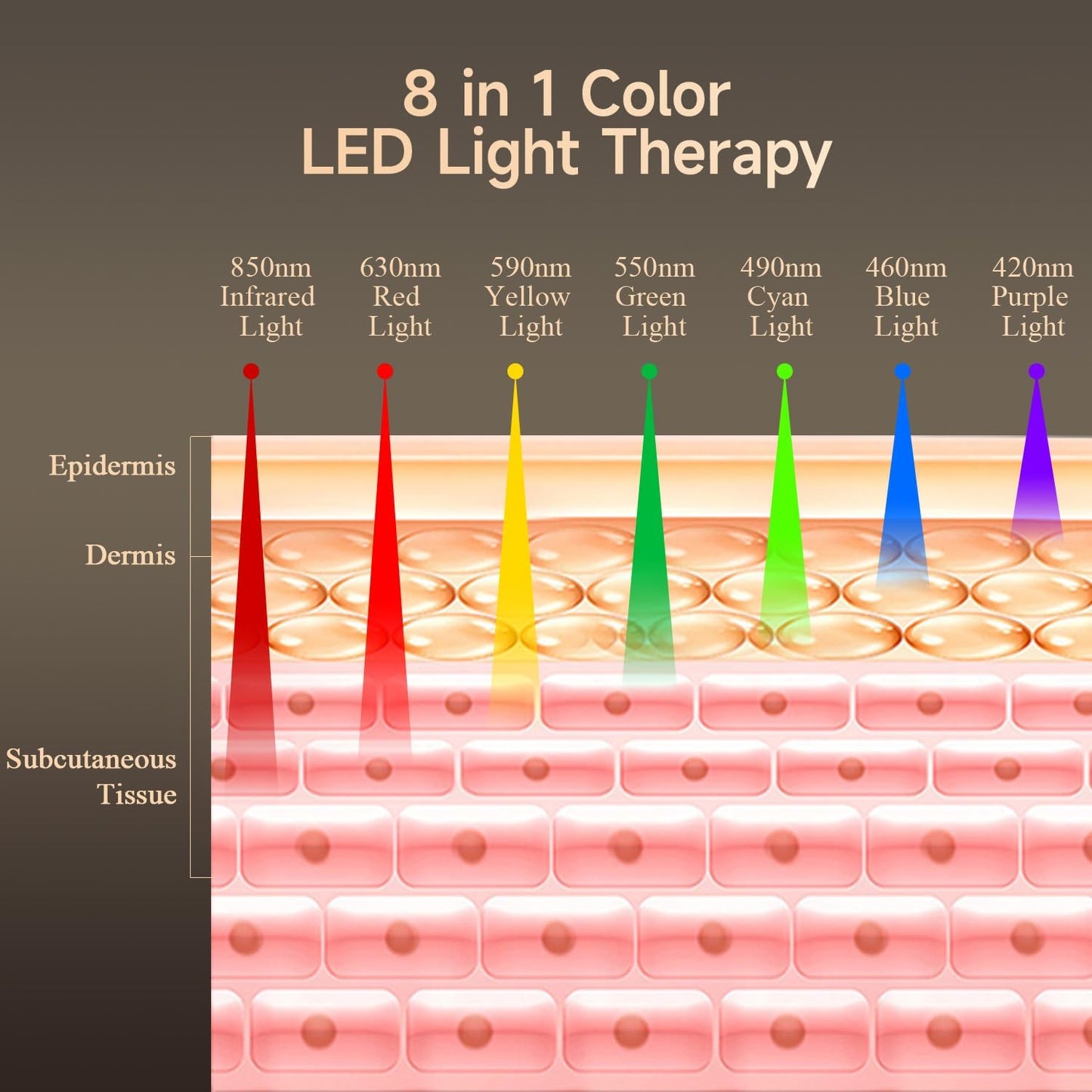 Dluxe Ave. Megelin 8 in 1 Colors LED Light Therapy Machine