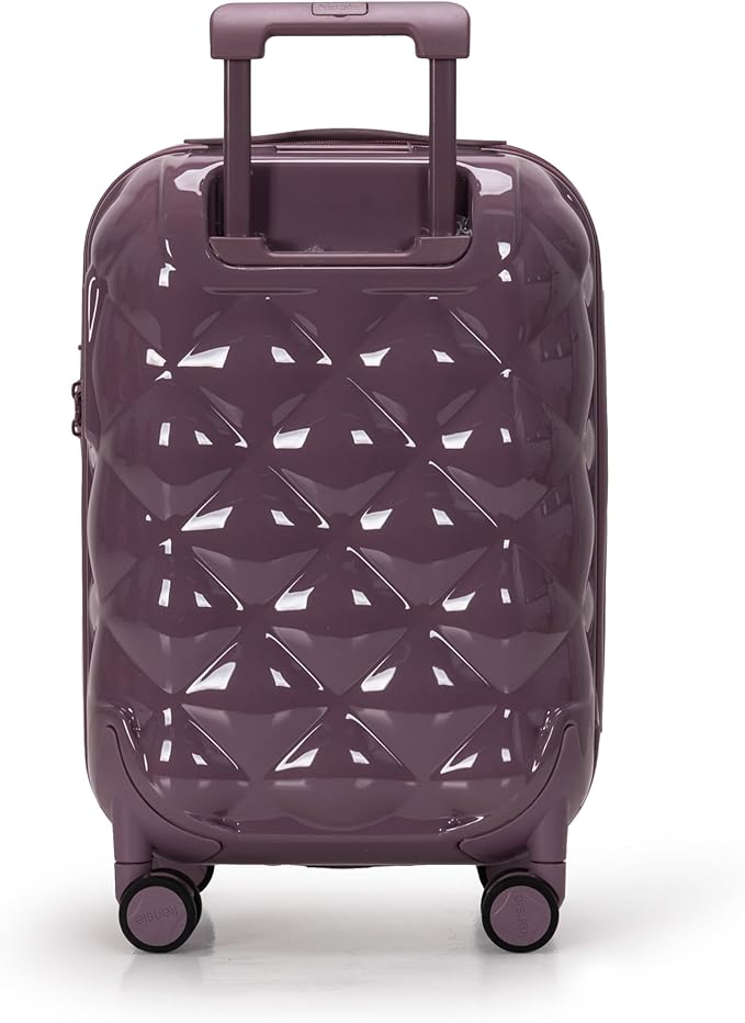 Dluxe Ave. 3 Pcs/ Spinning Wheels/ TSA Lock/  Mauve