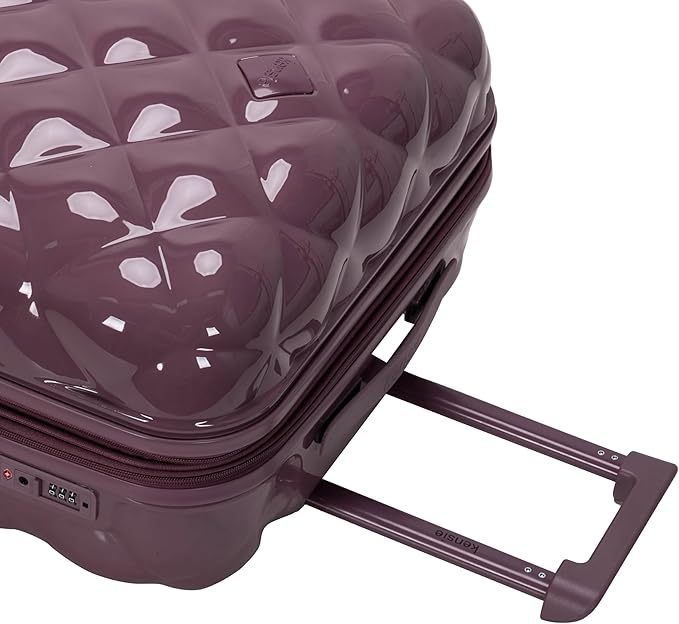 Dluxe Ave. 3 Pcs/ Spinning Wheels/ TSA Lock/  Mauve