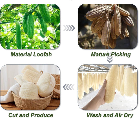Dluxe Ave. YUNKWONG Natural Loofah Sponge Loofah Exfoliating Body Scrubber for Men Women  (5 pcs in Box)