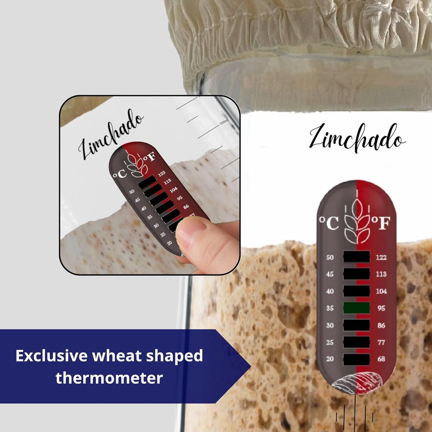 Dluxe Ave. Zimchado Sourdough Starter Kit 40 Oz Real Glass  Sourdough Bread baking Supplies (Black) (OUT OF STOCK)