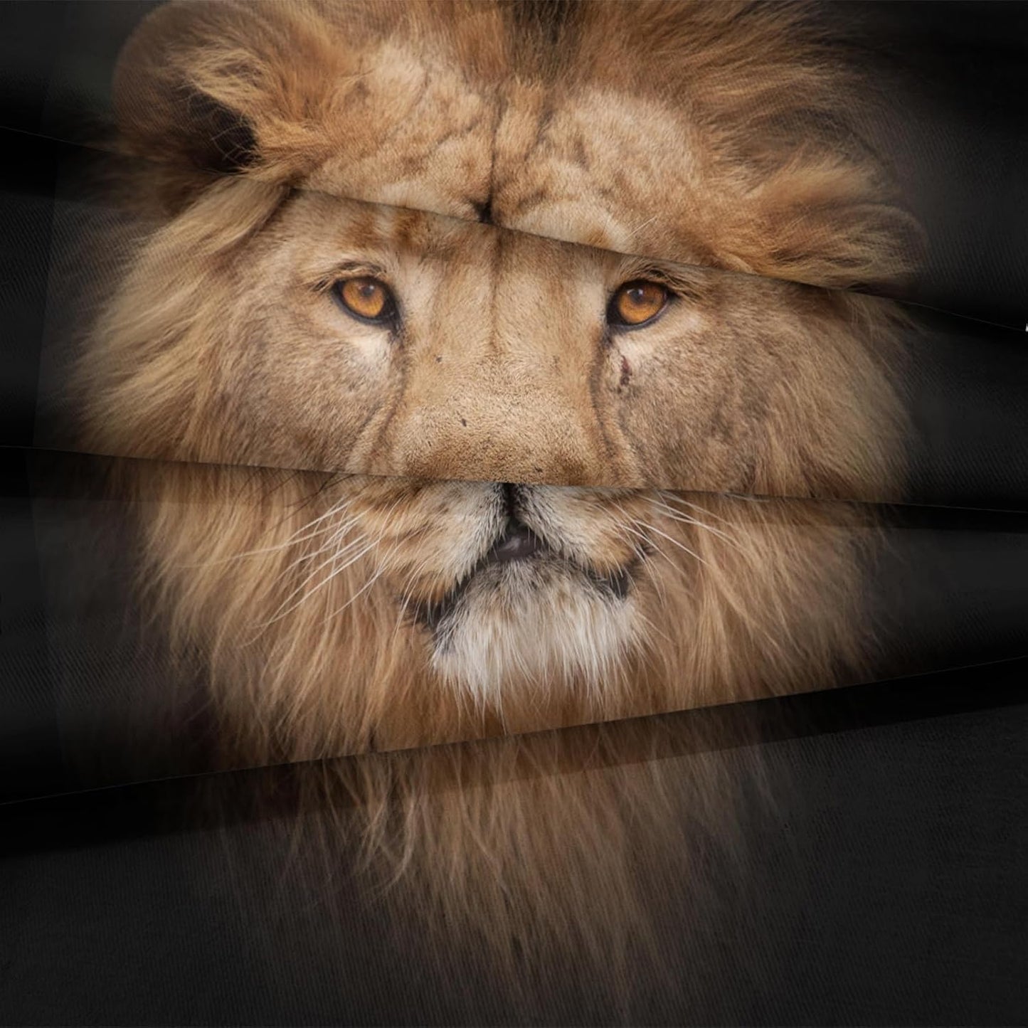 Dluxe Ave. ( KING ) 4 Pcs. Comforter Set, Lion