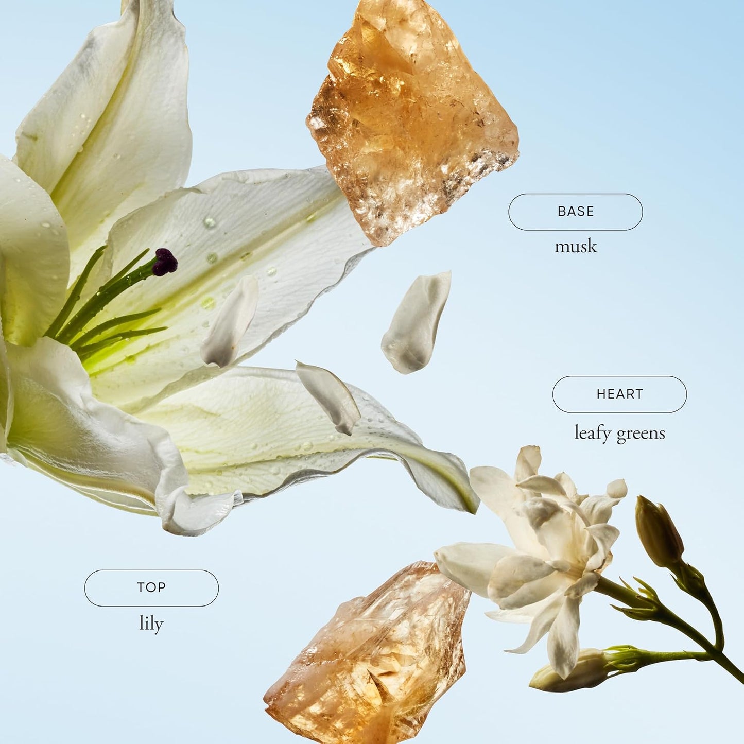 Dluxe Ave. philosophy hydrating shower gel pure grace