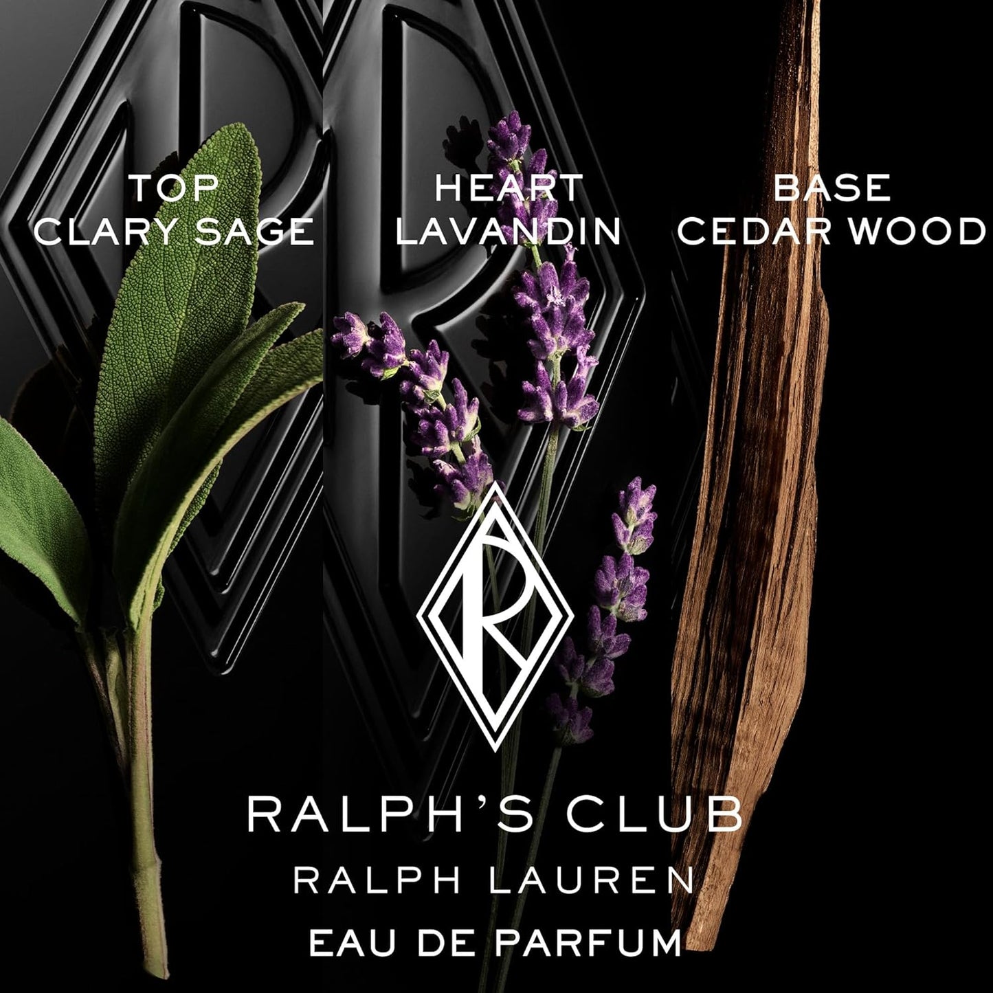 Dluxe Ave. Ralph Lauren - Ralphs Club Mens Cologne Discovery Set - Eau de Parfum Eau de Toilette & Parfum - Woody & Fresh - 3-Piece Gift Set - Travel Size - 0.3 Fl Oz Each