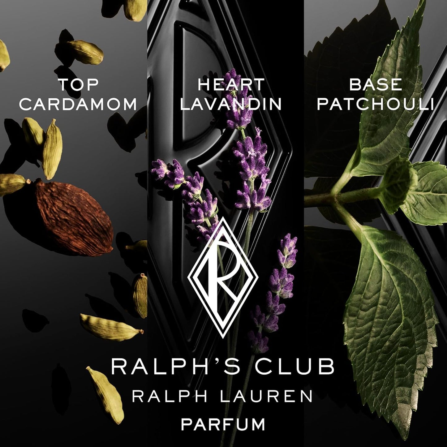 Dluxe Ave. Ralph Lauren - Ralphs Club Mens Cologne Discovery Set - Eau de Parfum Eau de Toilette & Parfum - Woody & Fresh - 3-Piece Gift Set - Travel Size - 0.3 Fl Oz Each