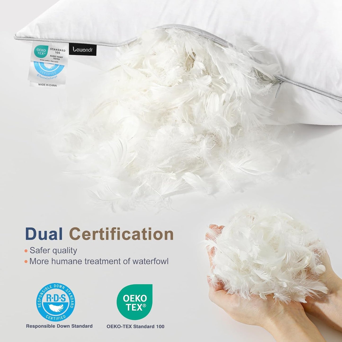 Dluxe Ave. 22x22 inch Pillow Insert Set of 2/ 100% Down & Feather/ Premium Soft Fluffy/ White
