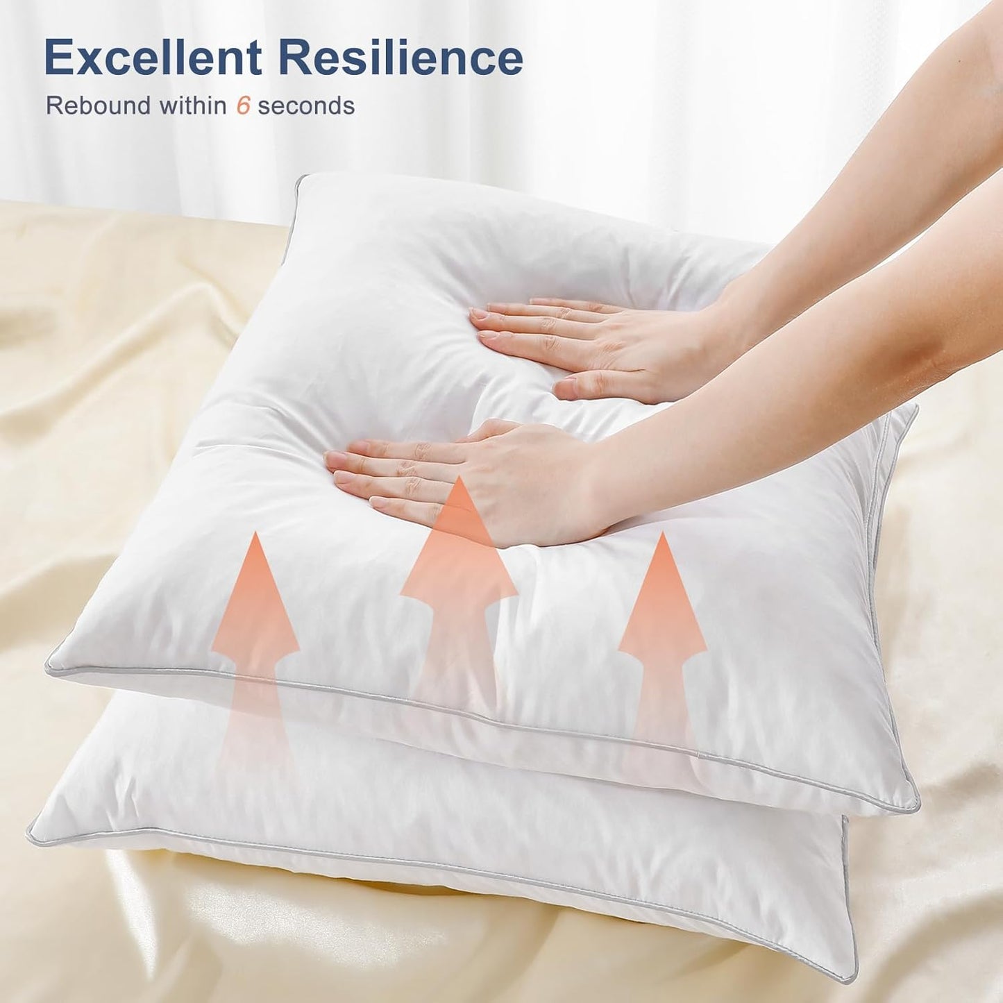 Dluxe Ave. 22x22 inch Pillow Insert Set of 2/ 100% Down & Feather/ Premium Soft Fluffy/ White